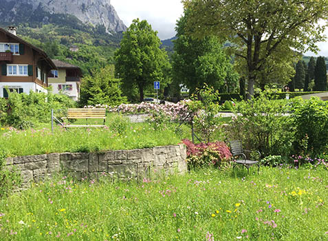 Naturgarten in Schwyz