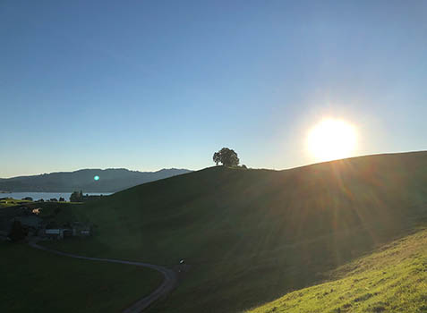 Vogelherd Einsiedeln