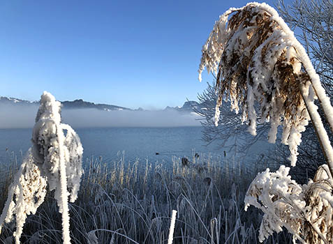 Winterstimmung am Sihlsee