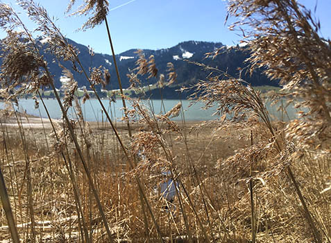 Winterstimmung am Sihlsee