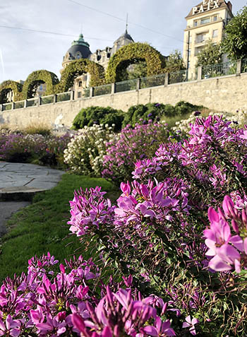 Park in Lausanne, Sommerfloor