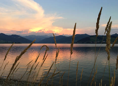 Herbst am Sihlsee