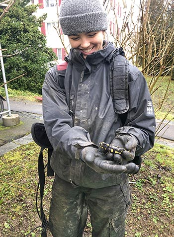 Feuersalamander im Garten