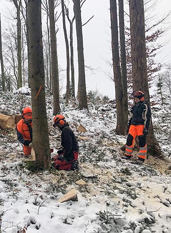 Holzertag Nachwuchsförderung