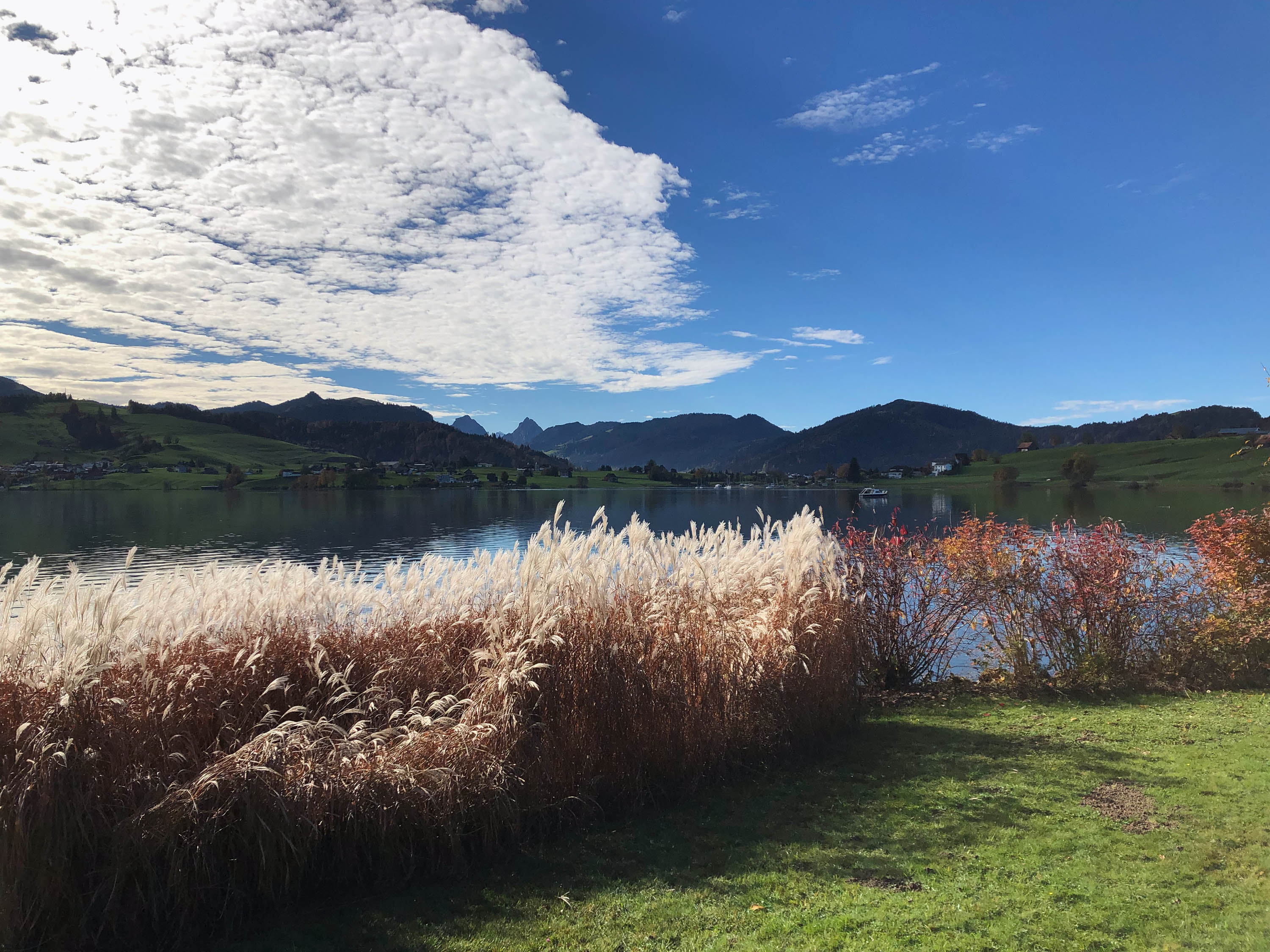 Herbst Gartenpflege Sigrist