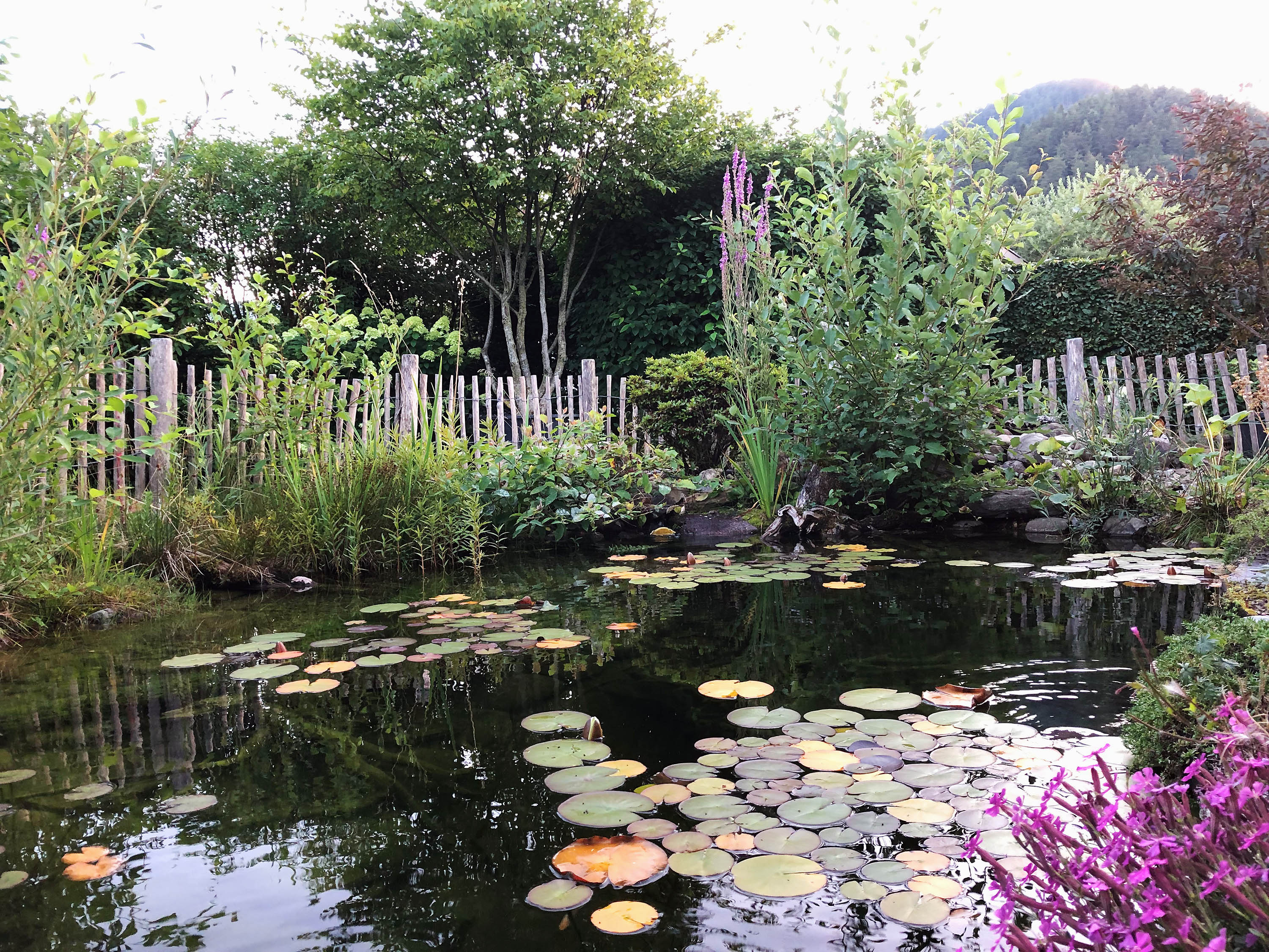 Herbst Gartenpflege Sigrist