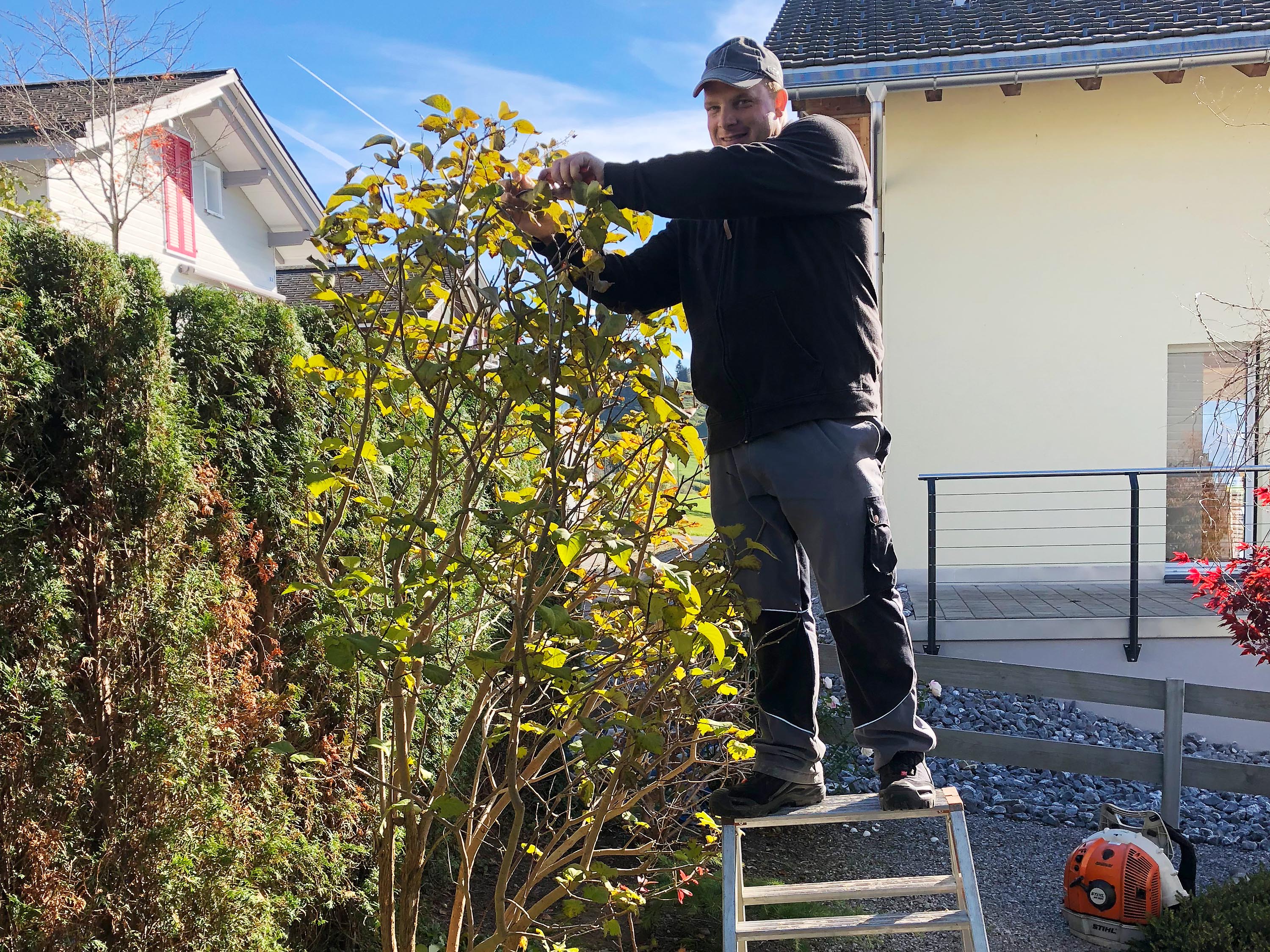 Gehölzschnitt Sigrist Gartenpflege