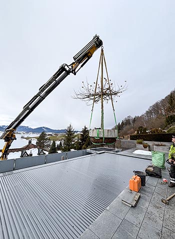 Referenzen Gartenpflege Sigrist