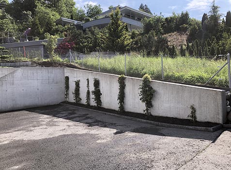 Referenzen Gartenpflege Sigrist