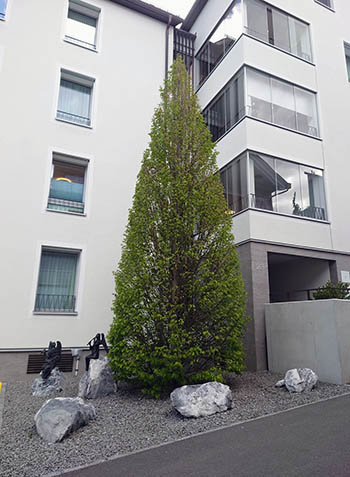 Referenzen Gartenpflege Sigrist